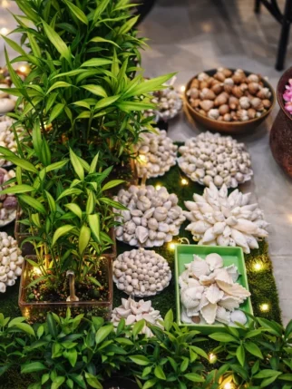 Indoor plants and decorative garden items display at Gayatri Nursery Amravati.